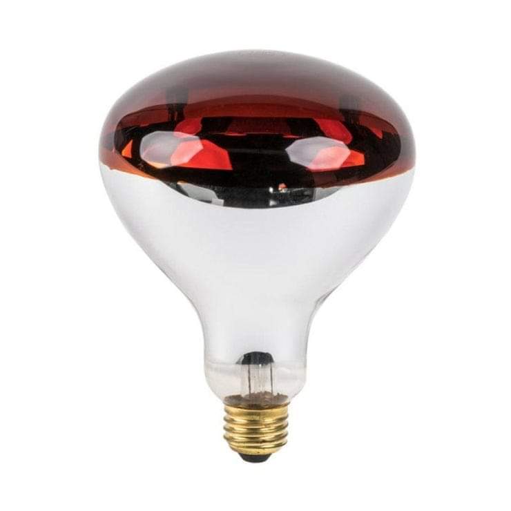 Infrared brooding bulb Kenya
