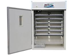 1232 egg commercial incubator for sale in Kenya — EcoKuku Farm Ltd