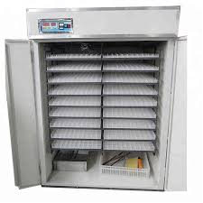 2112 egg commercial incubator for sale in Kenya — EcoKuku Farm Ltd